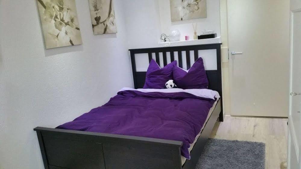 Max Aviation Villa & Apartments Bern Kültér fotó